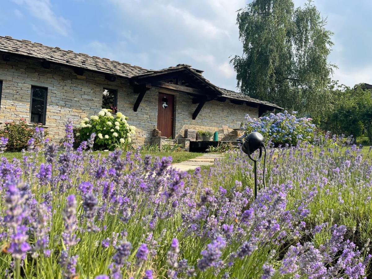Dionisia'S Home, Pool, Spa On Monviso Unesco Alps Verzuolo Екстер'єр фото